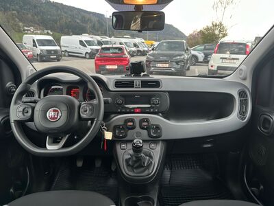 Fiat Panda Gebrauchtwagen