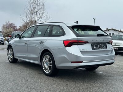 Skoda Octavia Gebrauchtwagen