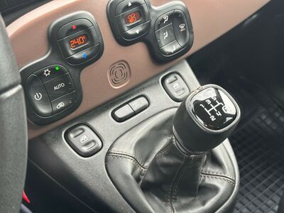 Fiat Panda Gebrauchtwagen