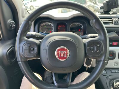 Fiat Panda Gebrauchtwagen