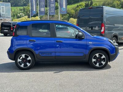 Fiat Panda Gebrauchtwagen