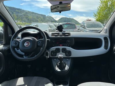 Fiat Panda Gebrauchtwagen