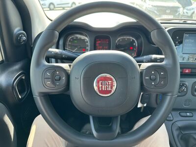 Fiat Panda Gebrauchtwagen