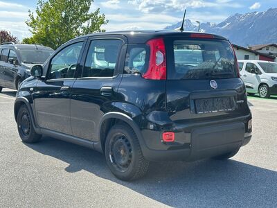 Fiat Panda Gebrauchtwagen
