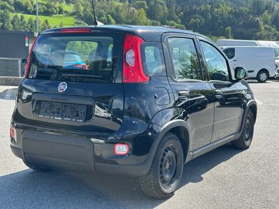 Fiat Panda Gebrauchtwagen
