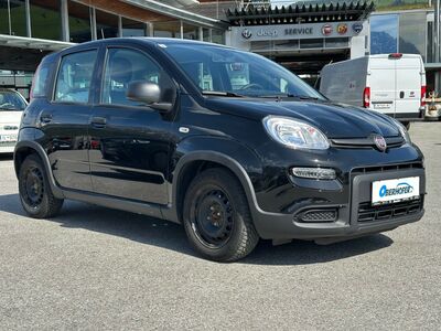 Fiat Panda Gebrauchtwagen
