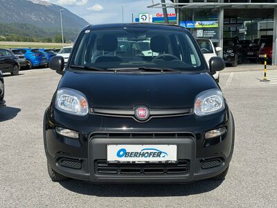 Fiat Panda Gebrauchtwagen
