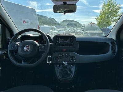 Fiat Panda Gebrauchtwagen