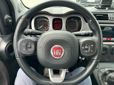 Fiat Panda Gebrauchtwagen