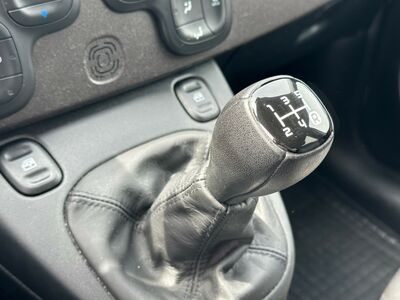 Fiat Panda Gebrauchtwagen