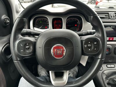 Fiat Panda Gebrauchtwagen