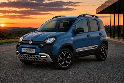 Fiat Panda Gebrauchtwagen Fiat Panda Gebrauchtwagen