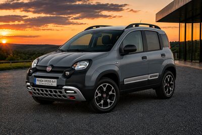 Fiat Panda Gebrauchtwagen Fiat Panda Gebrauchtwagen
