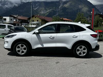 Ford Kuga Gebrauchtwagen Ford Kuga Gebrauchtwagen