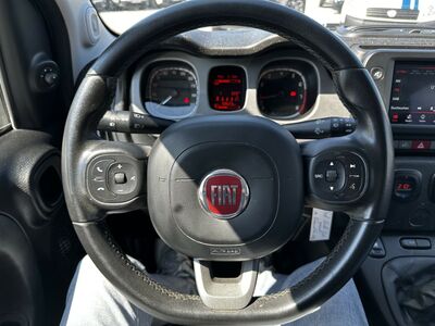 Fiat Panda Gebrauchtwagen Fiat Panda Gebrauchtwagen