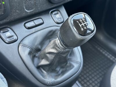 Fiat Panda Gebrauchtwagen Fiat Panda Gebrauchtwagen