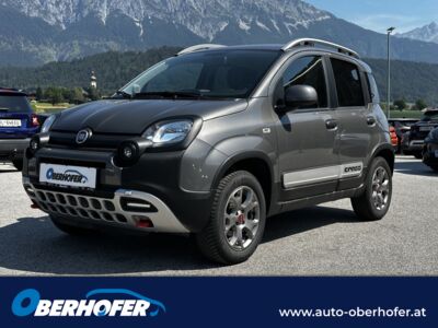 Fiat Panda Gebrauchtwagen Fiat Panda Gebrauchtwagen