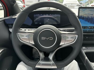 BYD Dolphin G Vorführwagen BYD Dolphin G Vorführwagen