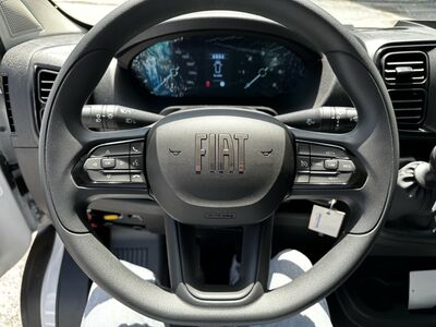 Fiat Ducato Tageszulassung Fiat Ducato Tageszulassung