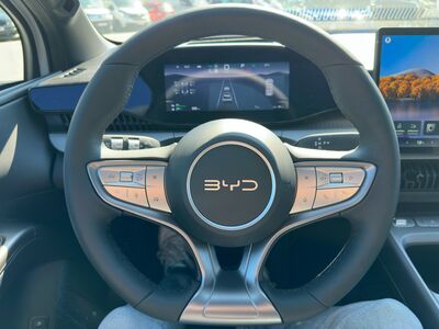BYD Dolphin G Neuwagen BYD Dolphin G Neuwagen