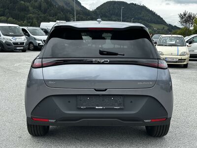 BYD Dolphin G Neuwagen BYD Dolphin G Neuwagen