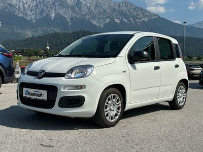 Fiat Panda Gebrauchtwagen Fiat Panda Gebrauchtwagen