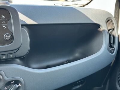 Fiat Panda Gebrauchtwagen Fiat Panda Gebrauchtwagen