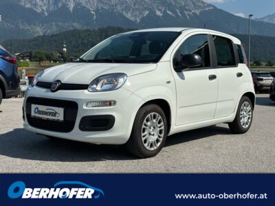 Fiat Panda Gebrauchtwagen Fiat Panda Gebrauchtwagen