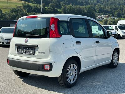 Fiat Panda Gebrauchtwagen Fiat Panda Gebrauchtwagen