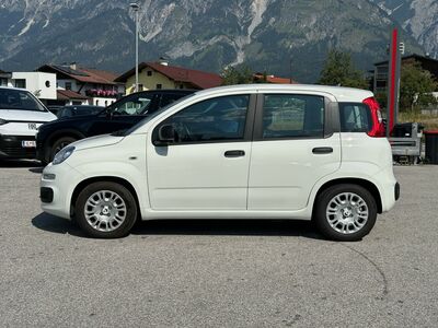 Fiat Panda Gebrauchtwagen Fiat Panda Gebrauchtwagen