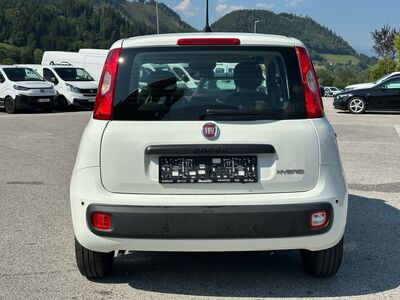 Fiat Panda Gebrauchtwagen Fiat Panda Gebrauchtwagen