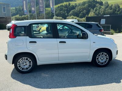Fiat Panda Gebrauchtwagen Fiat Panda Gebrauchtwagen