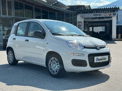 Fiat Panda Gebrauchtwagen Fiat Panda Gebrauchtwagen