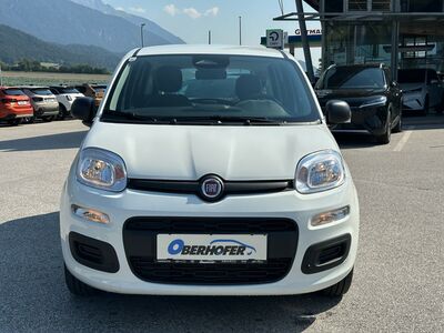 Fiat Panda Gebrauchtwagen Fiat Panda Gebrauchtwagen