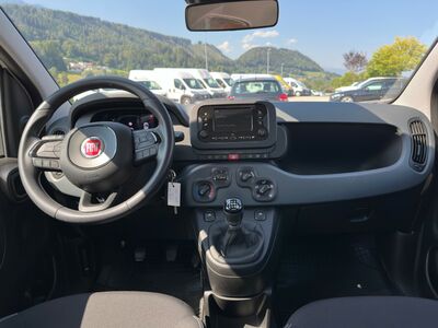 Fiat Panda Gebrauchtwagen Fiat Panda Gebrauchtwagen