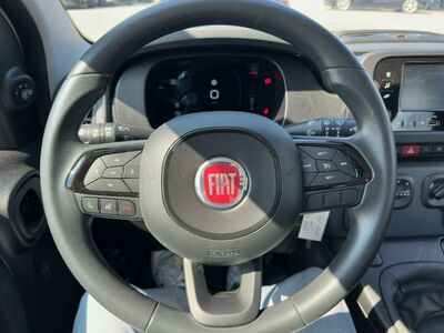 Fiat Panda Gebrauchtwagen Fiat Panda Gebrauchtwagen