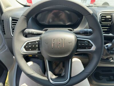 Fiat Ducato Tageszulassung Fiat Ducato Tageszulassung