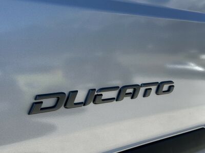 Fiat Ducato Tageszulassung