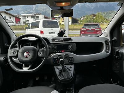 Fiat Panda Gebrauchtwagen