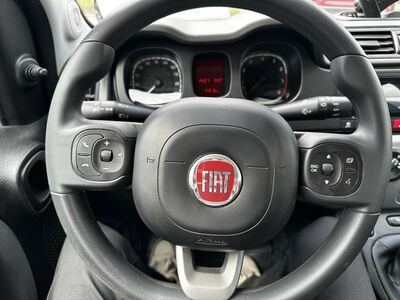 Fiat Panda Gebrauchtwagen