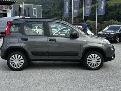 Fiat Panda Gebrauchtwagen