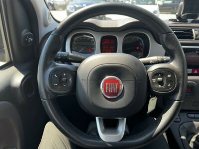 Fiat Panda Gebrauchtwagen Fiat Panda Gebrauchtwagen
