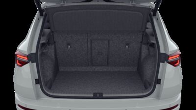 Skoda Karoq Vorführwagen Skoda Karoq Vorführwagen