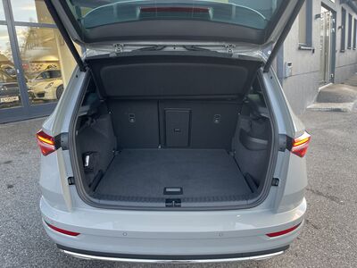 Skoda Karoq Vorführwagen