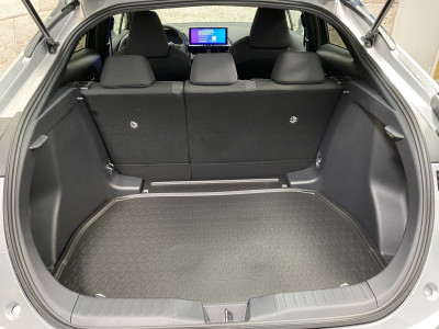 Toyota C-HR Tageszulassung