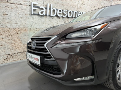 Lexus NX Gebrauchtwagen Lexus NX Gebrauchtwagen