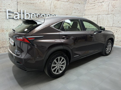 Lexus NX Gebrauchtwagen Lexus NX Gebrauchtwagen