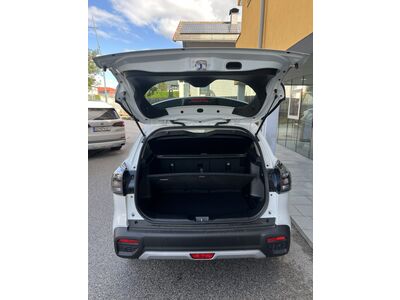 Suzuki S-Cross Tageszulassung