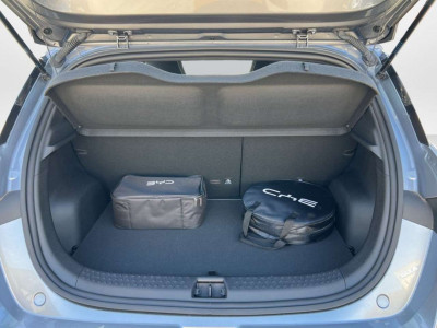 BYD Dolphin Gebrauchtwagen