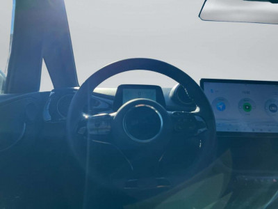 BYD Dolphin Vorführwagen